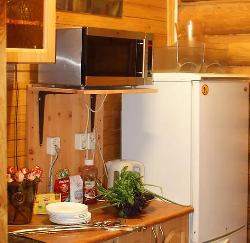 Izbushka Сasa de vacaciones Riga