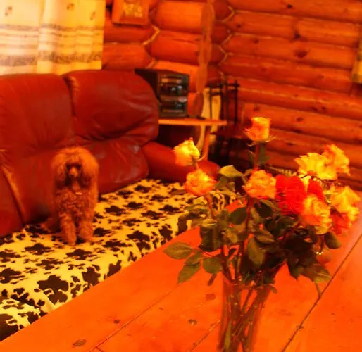 伊兹布希卡宾馆 里加