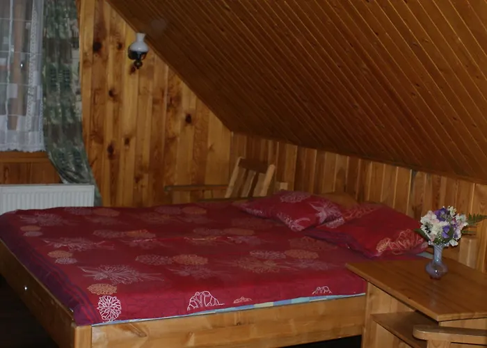 伊兹布希卡宾馆 里加